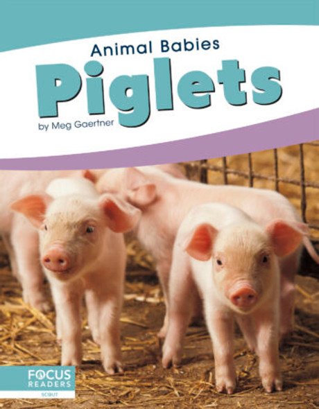 Animal Babies - Set of 8 (Paperback)