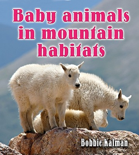 Baby Animals in Mountain Habitats (Hardcover)