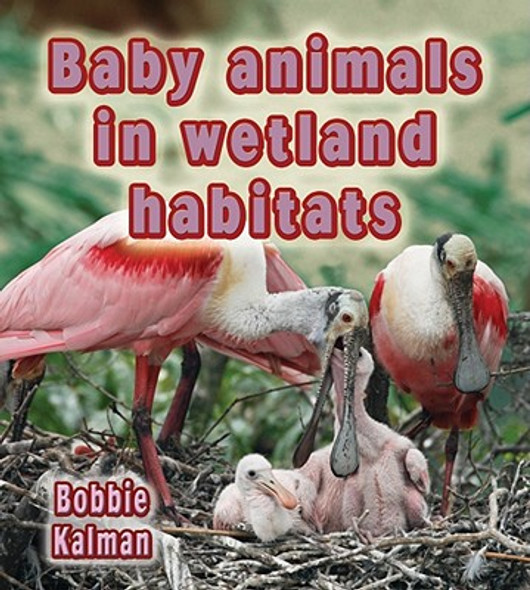 Baby Animals in Wetland Habitats (Hardcover)
