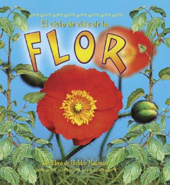 El Ciclo de Vida de la Flor (the Life Cycle of a Flower) (Paperback)