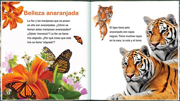 Spa-Observar La Naturaleza (Library Binding)