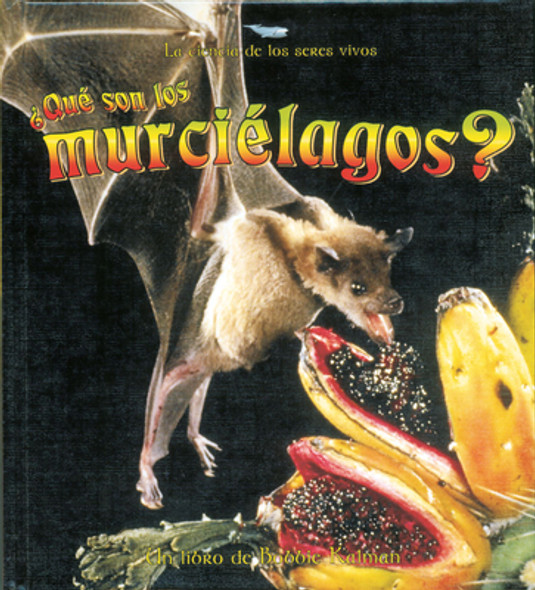 ¿Qué Son Los Murciélagos? (What Is a Bat?) (Library Binding)