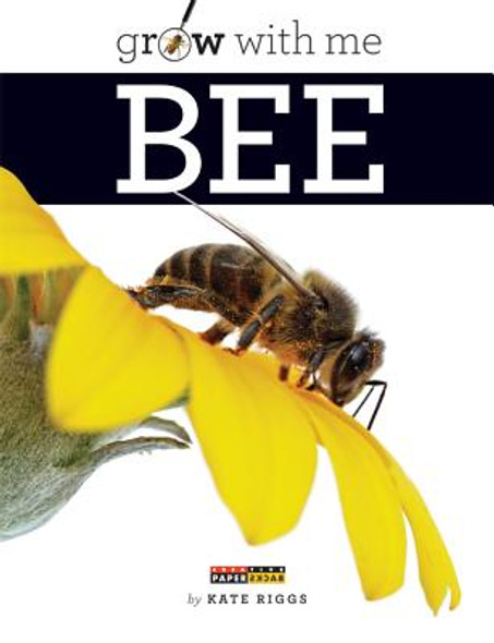 Bee (Paperback)