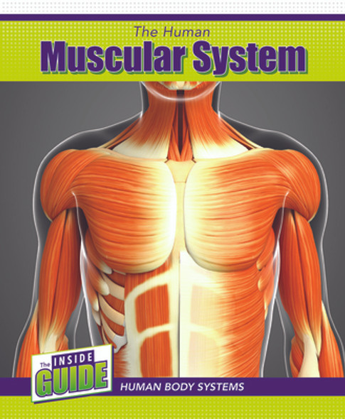 The Human Muscular System (Paperback)