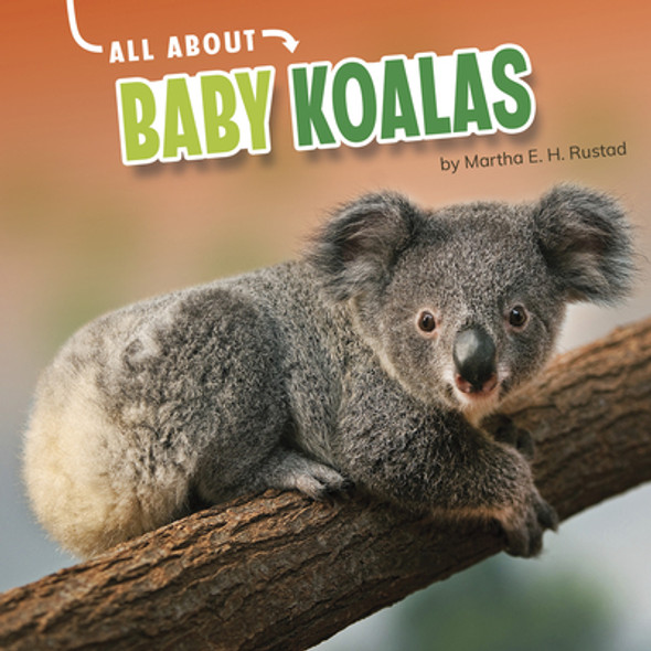 All about Baby Koalas (Hardcover)