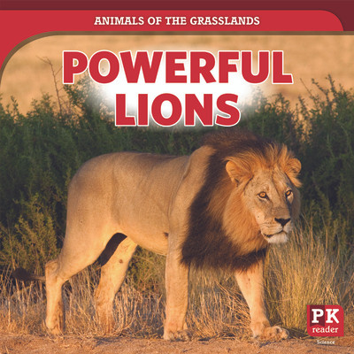 Powerful Lions (Paperback)