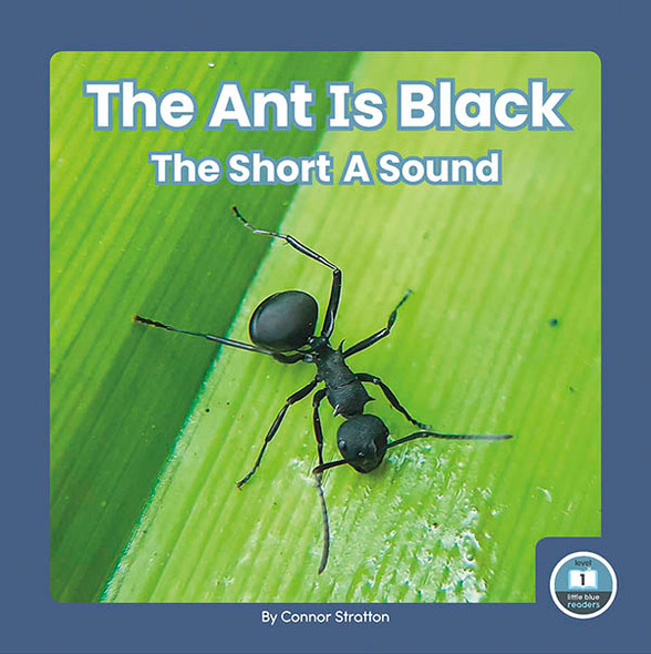 On It, Phonics! Vowel Sounds - 10 Titles (Hardcover)