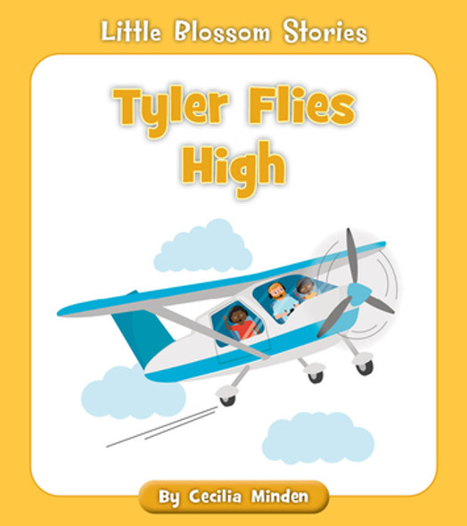 Tyler Flies High (Paperback)