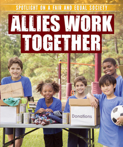 Allies Work Together (Library Binding)
