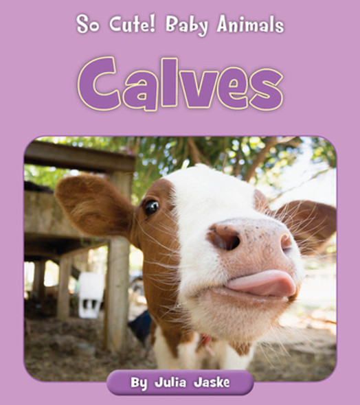 Calves (Paperback) Calves (Paperback)