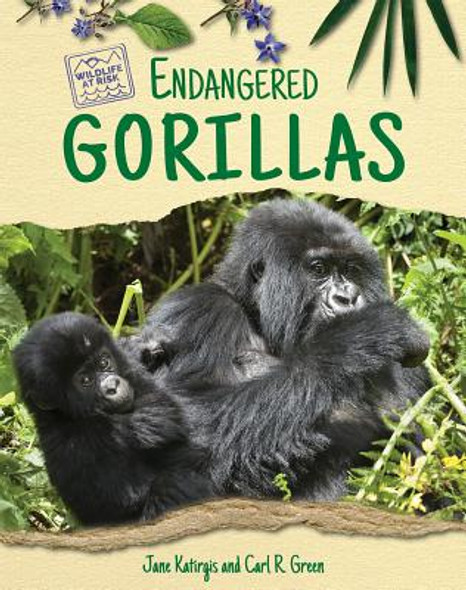 Endangered Gorillas (Library Binding)
