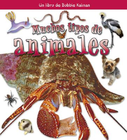 Muchos Tipos de Animales (Many Kinds of Animals) (Paperback)