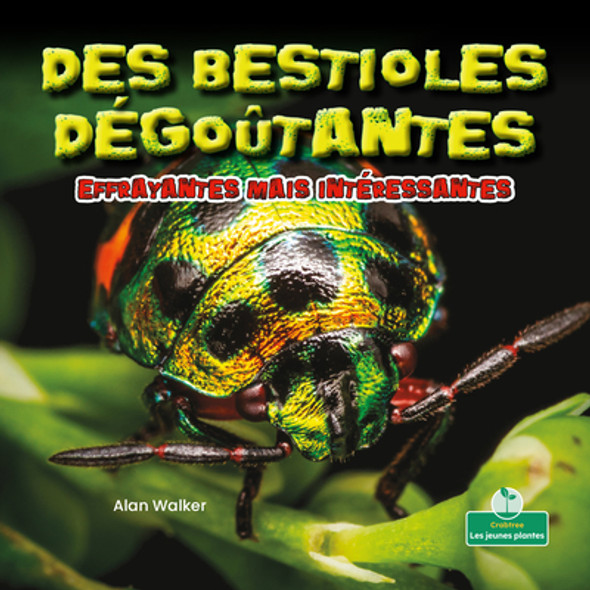 Des Bestioles Dégoûtantes Effrayantes Mais Intéressantes (Creepy But Cool Beastly Bugs) (Paperback)