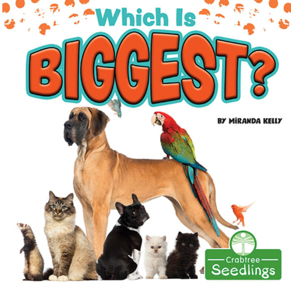 Which Is Biggest? (Library Binding)