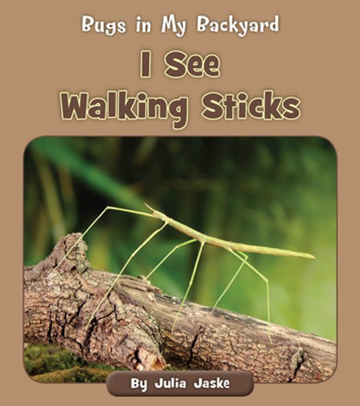 I See Walking Sticks (Paperback)