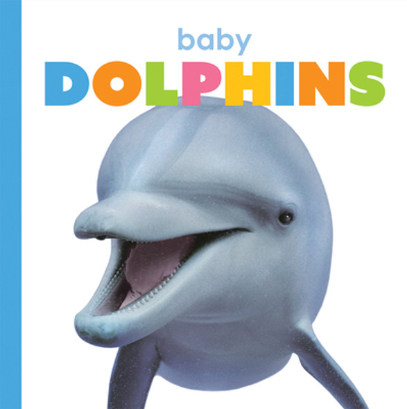 Baby Dolphins (Paperback)