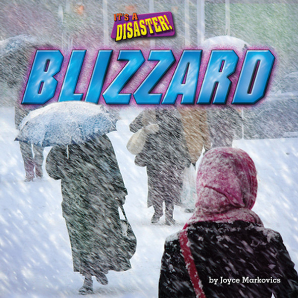 Blizzard (Paperback)