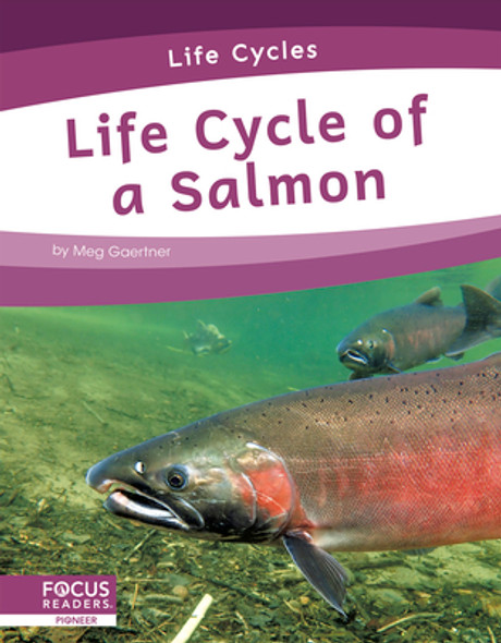 Life Cycle of a Salmon (Library Binding)