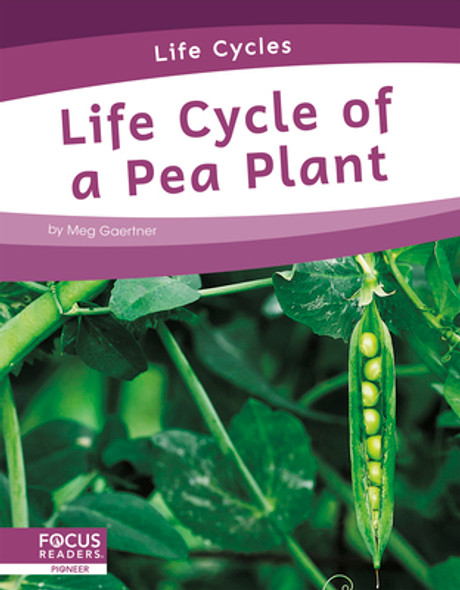 Life Cycle of a Pea Plant (Paperback)