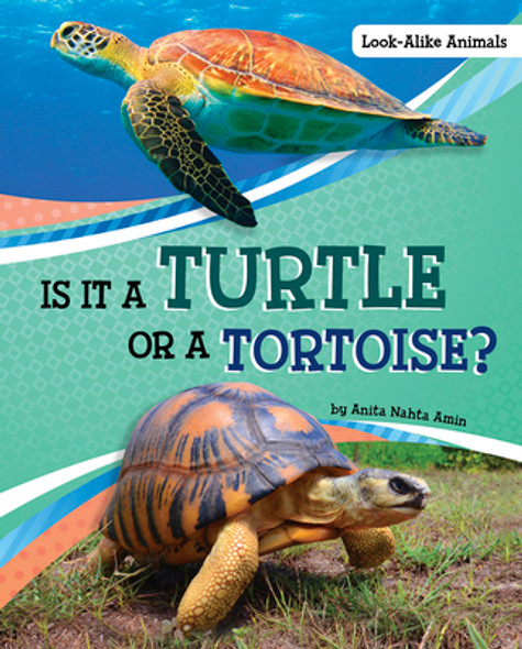Is It a Turtle or a Tortoise? (Hardcover)