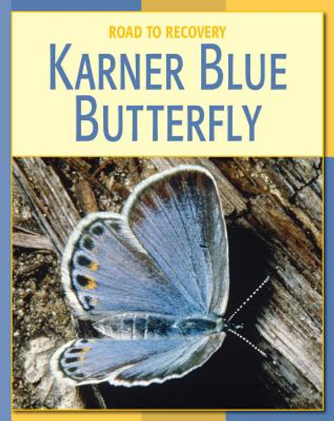 Karner Blue Butterfly (Library Binding)