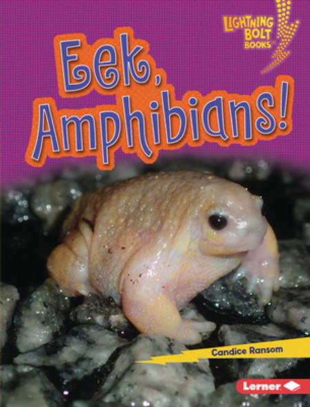 Eek, Amphibians! (Library Binding)