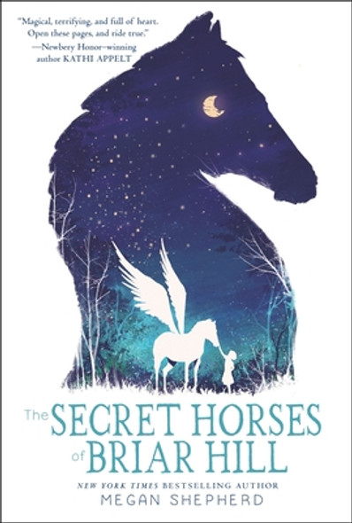 The Secret Horses of Briar Hill (Paperback)