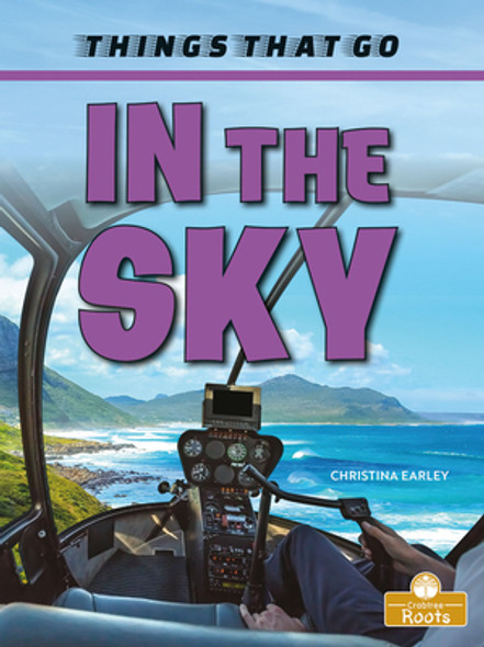 In the Sky (Library Binding)