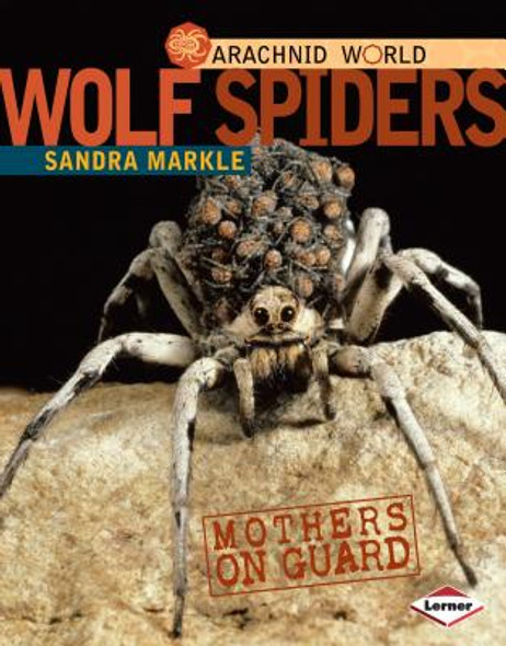Wolf Spiders: Mothers on Guard (Library Binding)