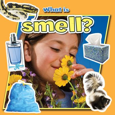 What Is Smell? (Hardcover)