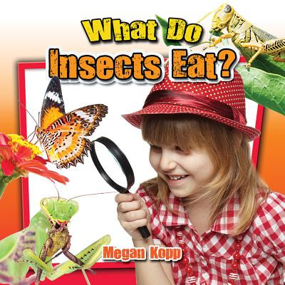 What Do Insects Eat? (Paperback)