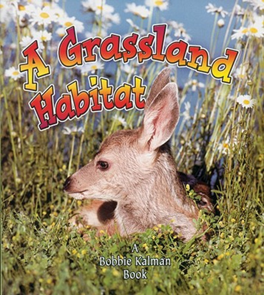 A Grassland Habitat (Paperback)