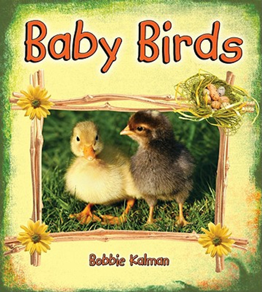 Baby Birds (Paperback)
