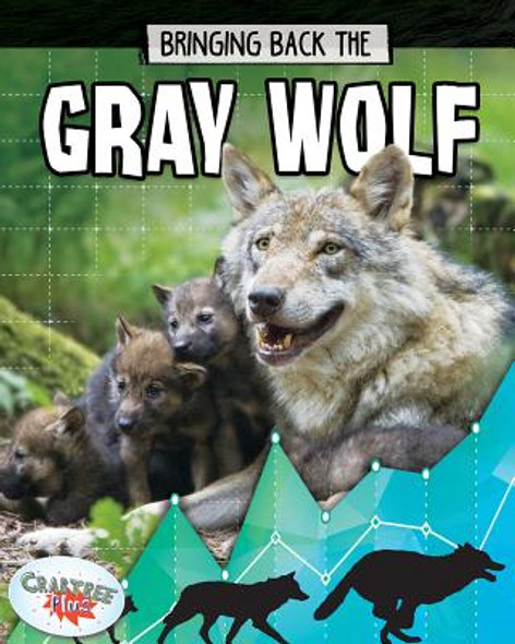 Bringing Back the Gray Wolf (Paperback)