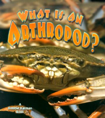 What Is an Arthropod? (Paperback)