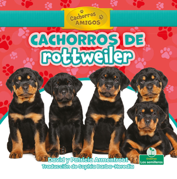 Cachorros de Rottweiler (Rottweiler Puppies) (Library Binding)