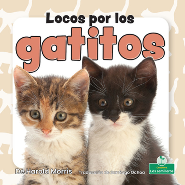 Locos Por Los Gatitos (Crazy about Kittens) (Paperback)