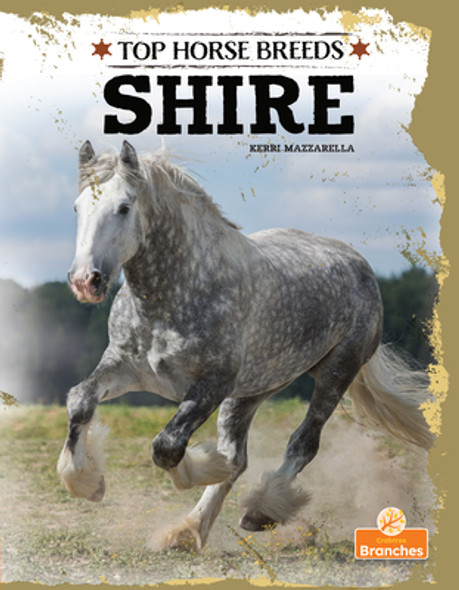 Shire (Hardcover)