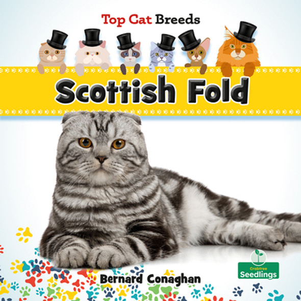 Scottish Fold (Paperback)