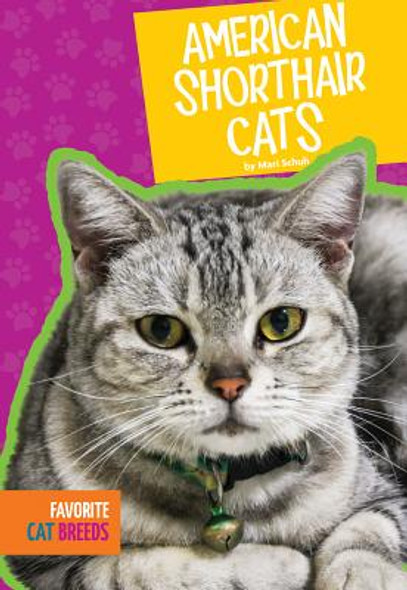 American Shorthair Cats (Library Binding)