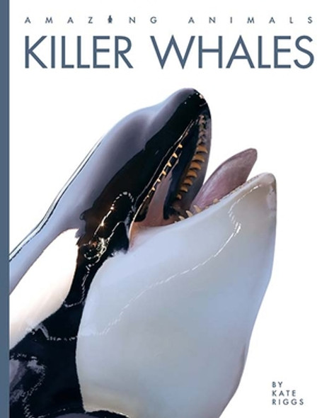 Killer Whales (Paperback)