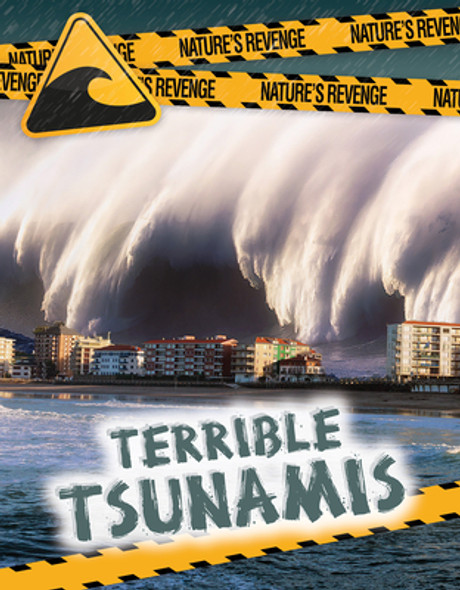Terrible Tsunamis (Paperback)
