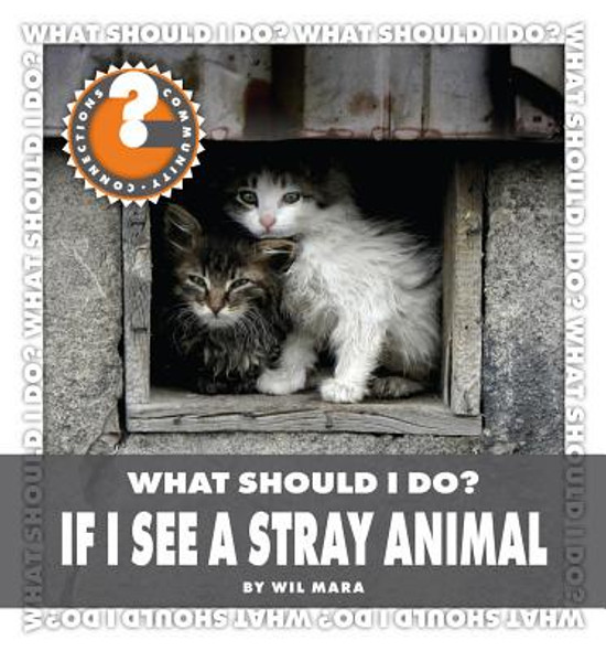 What Should I Do? If I See a Stray Animal (Library Binding)