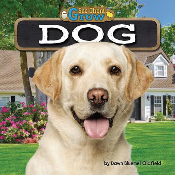 Dog (Library Binding)