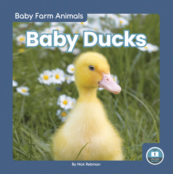 Baby Ducks (Paperback)