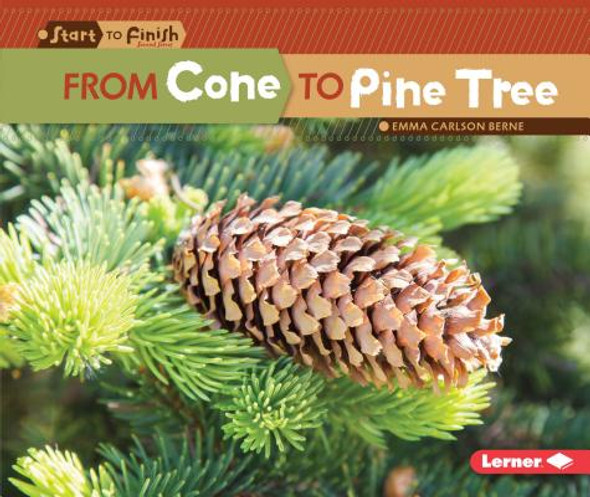 From Cone to Pine Tree (Paperback)