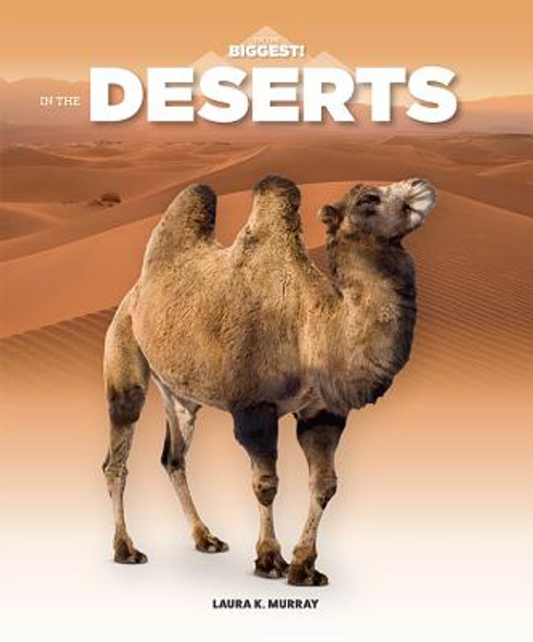 In the Deserts (Paperback)