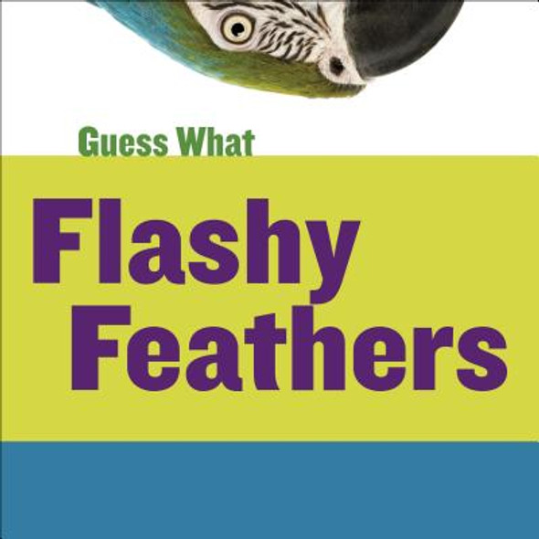 Flashy Feathers: Macaw (Library Binding)