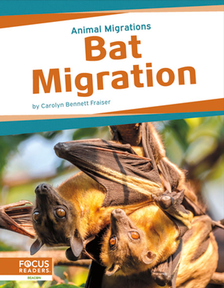 Bat Migration (Library Binding)