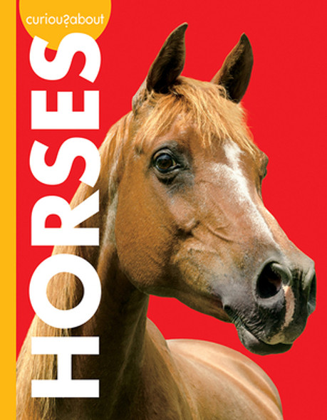 Curious about Horses (Paperback)